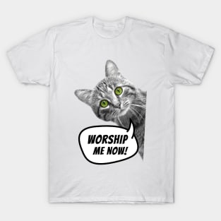 Worship me now! T-Shirt